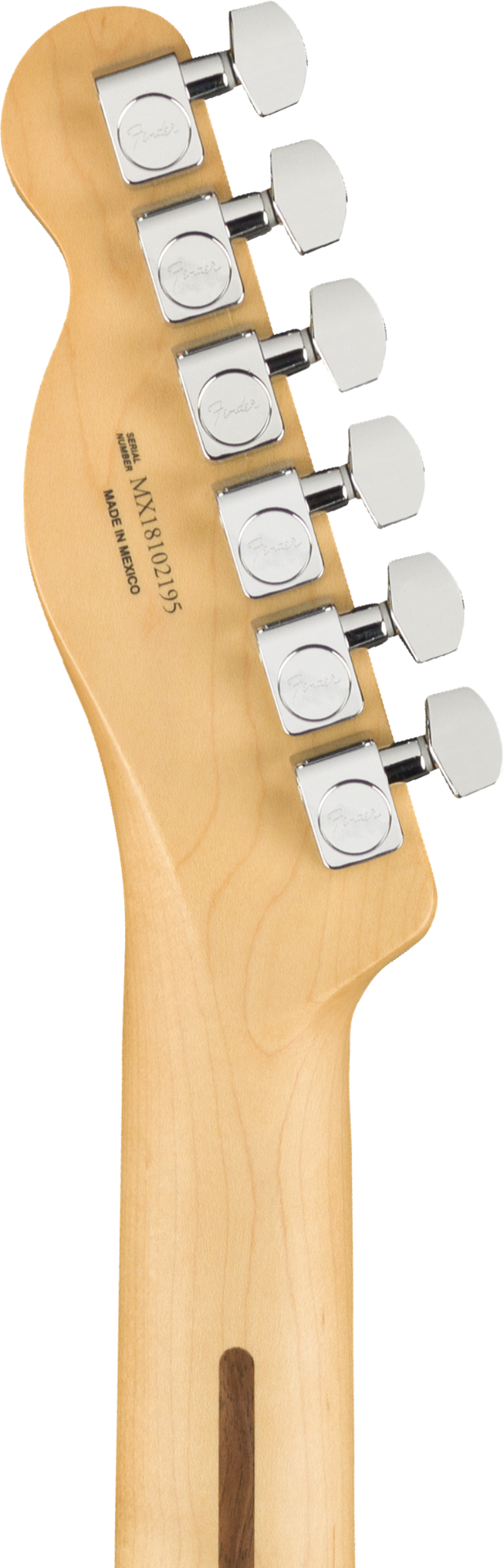 Fender Player Telecaster Electric Guitar - Maple Fingerboard - Black - View 5 | MusicMarket