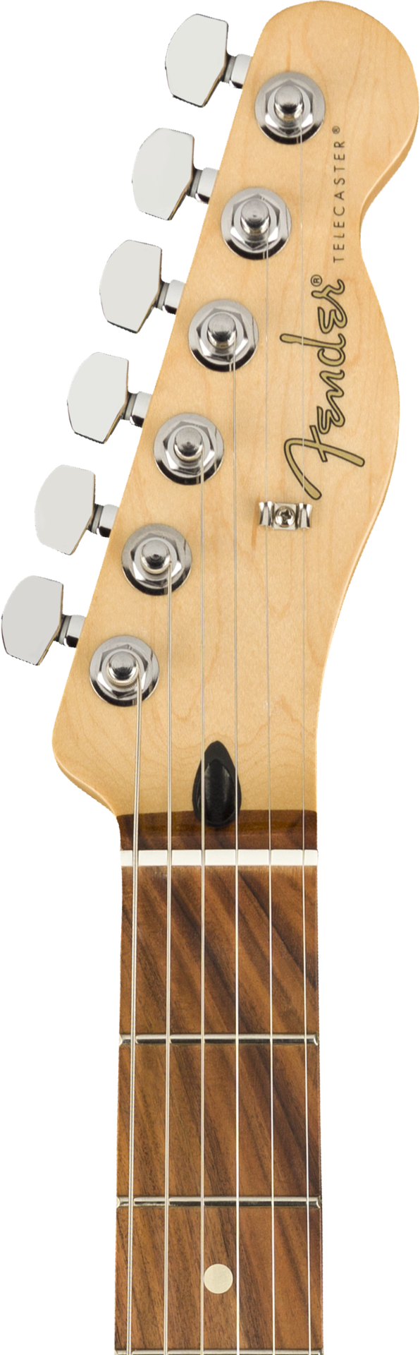 Fender Player Telecaster Electric Guitar - Pau Ferro Fingerboard - Polar White - View 3 | MusicMarket