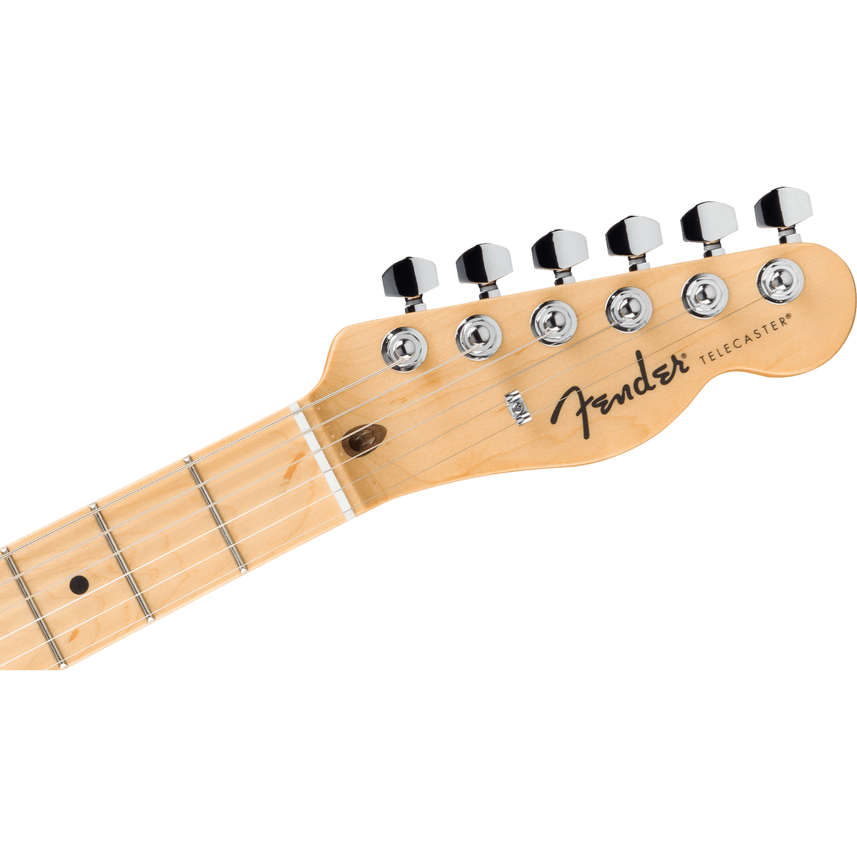 Fender Standard Telecaster - Maple Fingerboard, Butterscotch Blonde - View 3 | MusicMarket