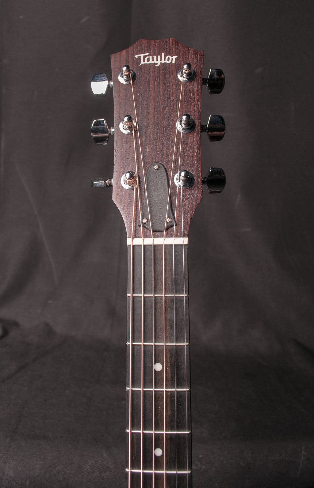 Taylor 214CE Grand Auditorium Acoustic Electric Cutaway with Gig Bag - View 12 | MusicMarket