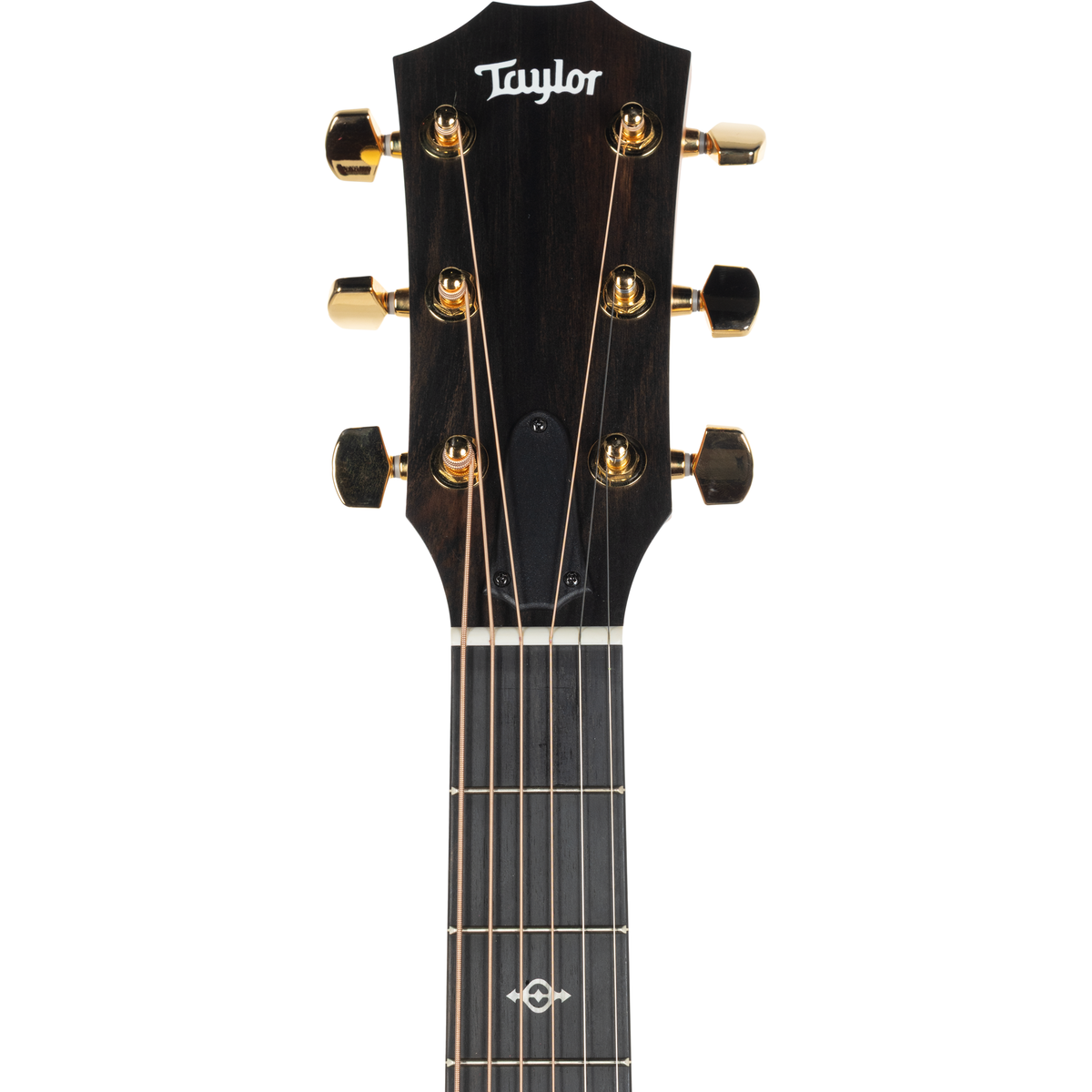 Taylor 224ce-K DLX Hawaiian Koa Acoustic Electric Guitar - Shaded Edgeburst - View 8 | MusicMarket