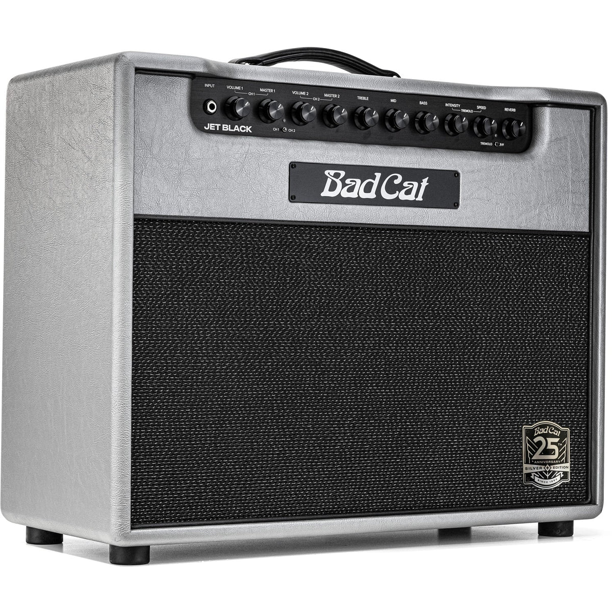 Bad Cat Amplifiers Limited 25th Anniversary Jet Black Combo - View 3 | MusicMarket