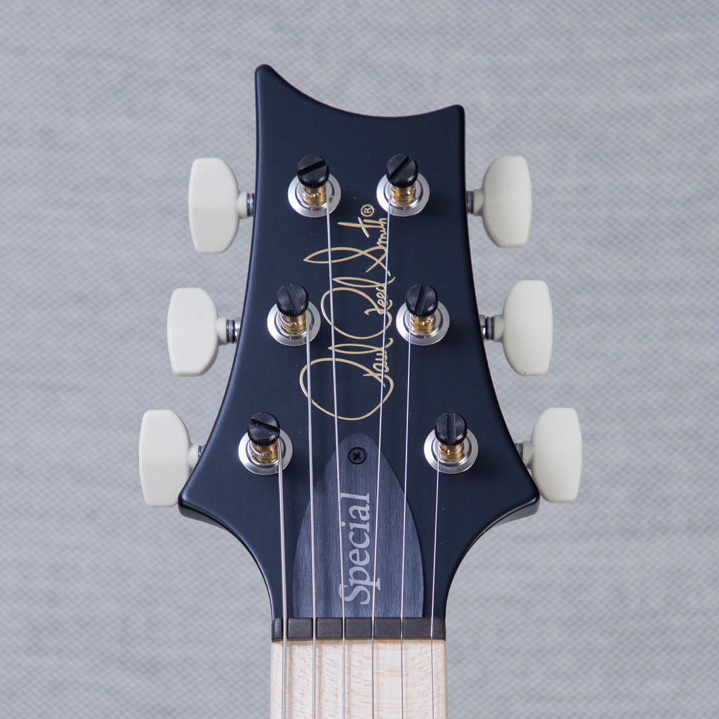 PRS Swamp Ash Special Custom Color Electric Guitar - Swamp Burst - #0421567 - View 3 | MusicMarket