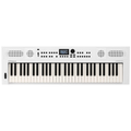 Roland GO:KEYS 5 Music Creation Keyboard - MusicMarket