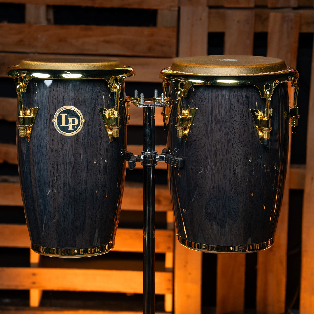 Latin Percussion Junior Conga Set - Black Wood With Gold Hardware - CHUCKSCLUSIVE - View 2 | MusicMarket