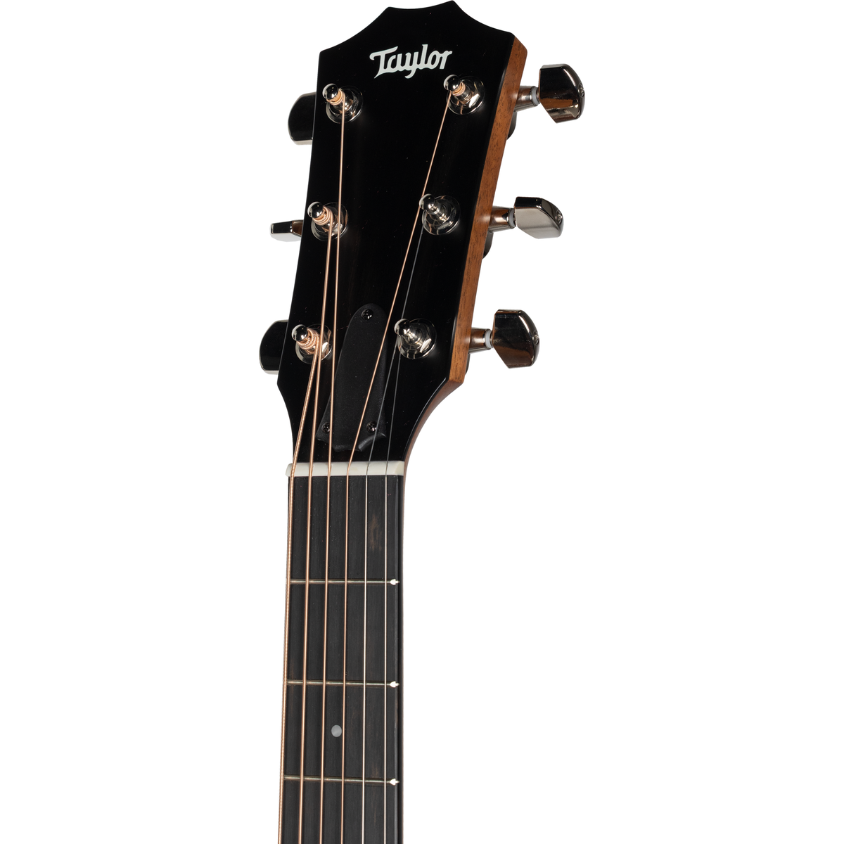 Taylor 414ce Studio Grand Auditorium Acoustic Electric Guitar - Natural - View 11 | MusicMarket