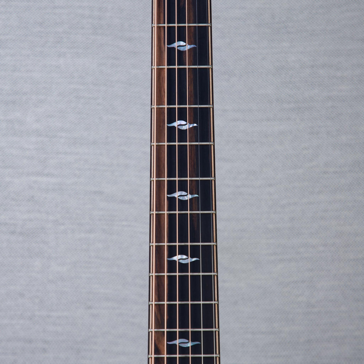 Taylor Limited Edition 814ce Cocobolo/Spruce Acoustic Electric Guitar - #1201196089 - View 4 | MusicMarket