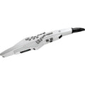 Roland Aerophone AE-20W Digital Wind Instrument - MusicMarket