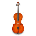 Eastman Strings Model 80 Student Cello Outfit - 1/2 Size - MusicMarket