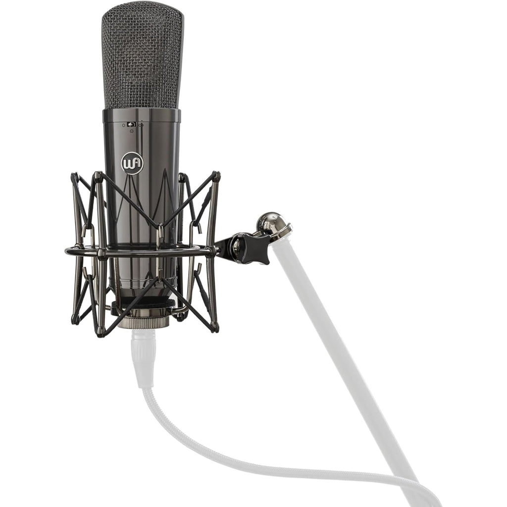 Warm Audio WA-87 R2 TS Stereo Pair - Limited Edition Titanium - View 2 | MusicMarket