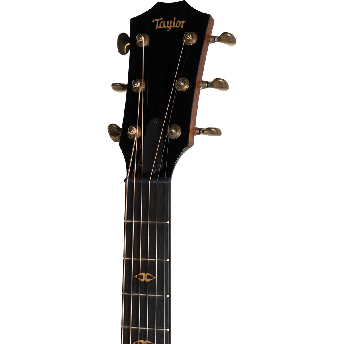 Taylor C414ce B4043 2024 NAMM Custom Acoustic Electric Guitar, Wild Honey Burst - View 9 | MusicMarket