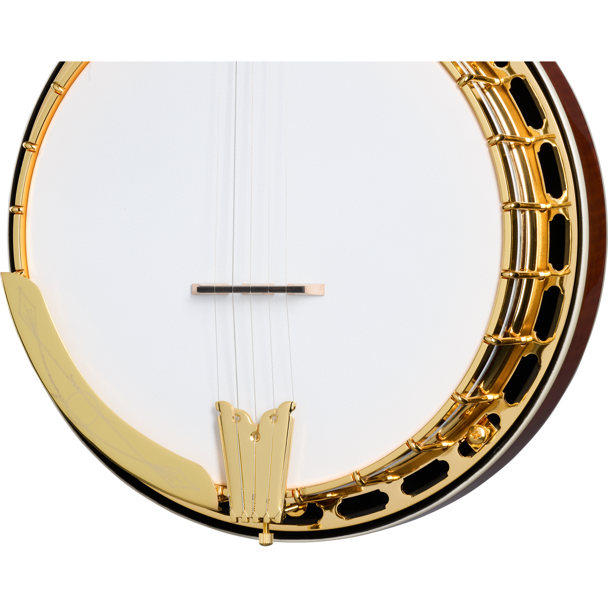 Epiphone Earl Scruggs Golden Deluxe Banjo - Vintage Sunburst - View 7 | MusicMarket