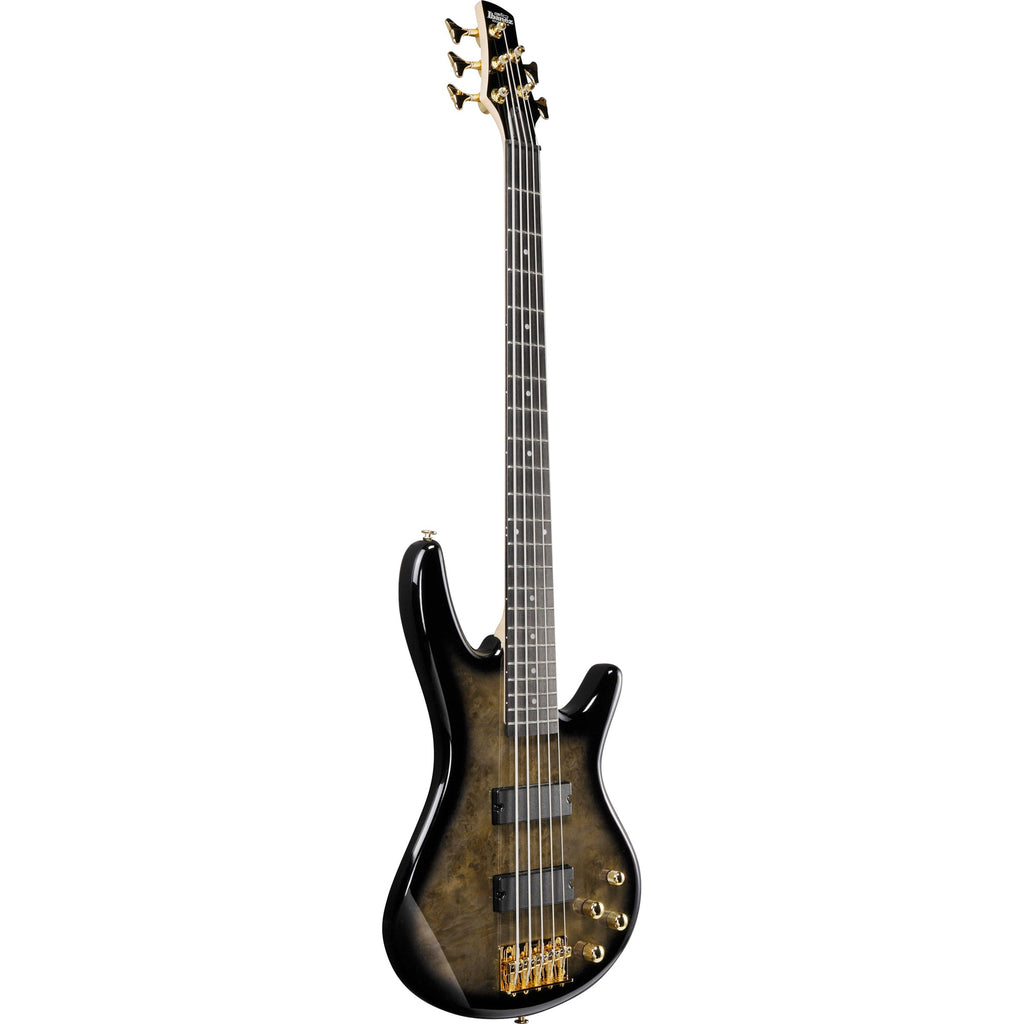 Ibanez GSR205PC Gio SR 5-String Electric Bass - Transparent Pale Black Burst - View 4 | MusicMarket