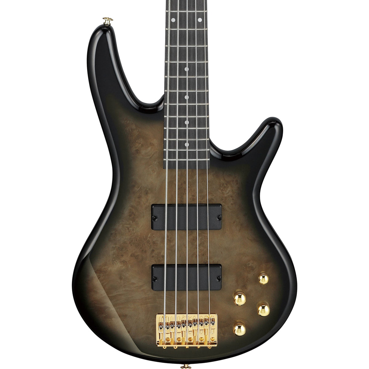 Ibanez GSR205PC Gio SR 5-String Electric Bass - Transparent Pale Black Burst - MusicMarket