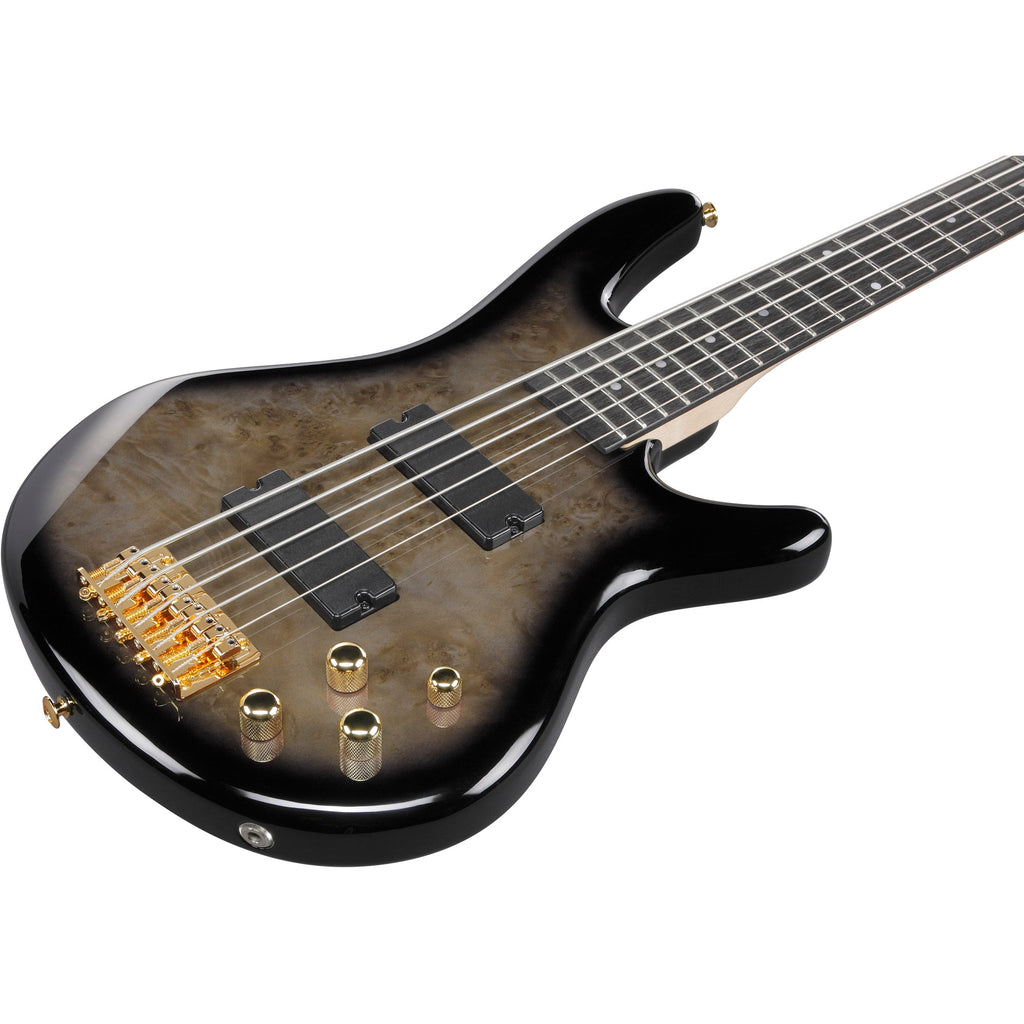 Ibanez GSR205PC Gio SR 5-String Electric Bass - Transparent Pale Black Burst - View 7 | MusicMarket