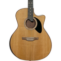 Riversong P555CEA Dragon Slayer Grand Auditorium Acoustic Electric Guitar - MusicMarket