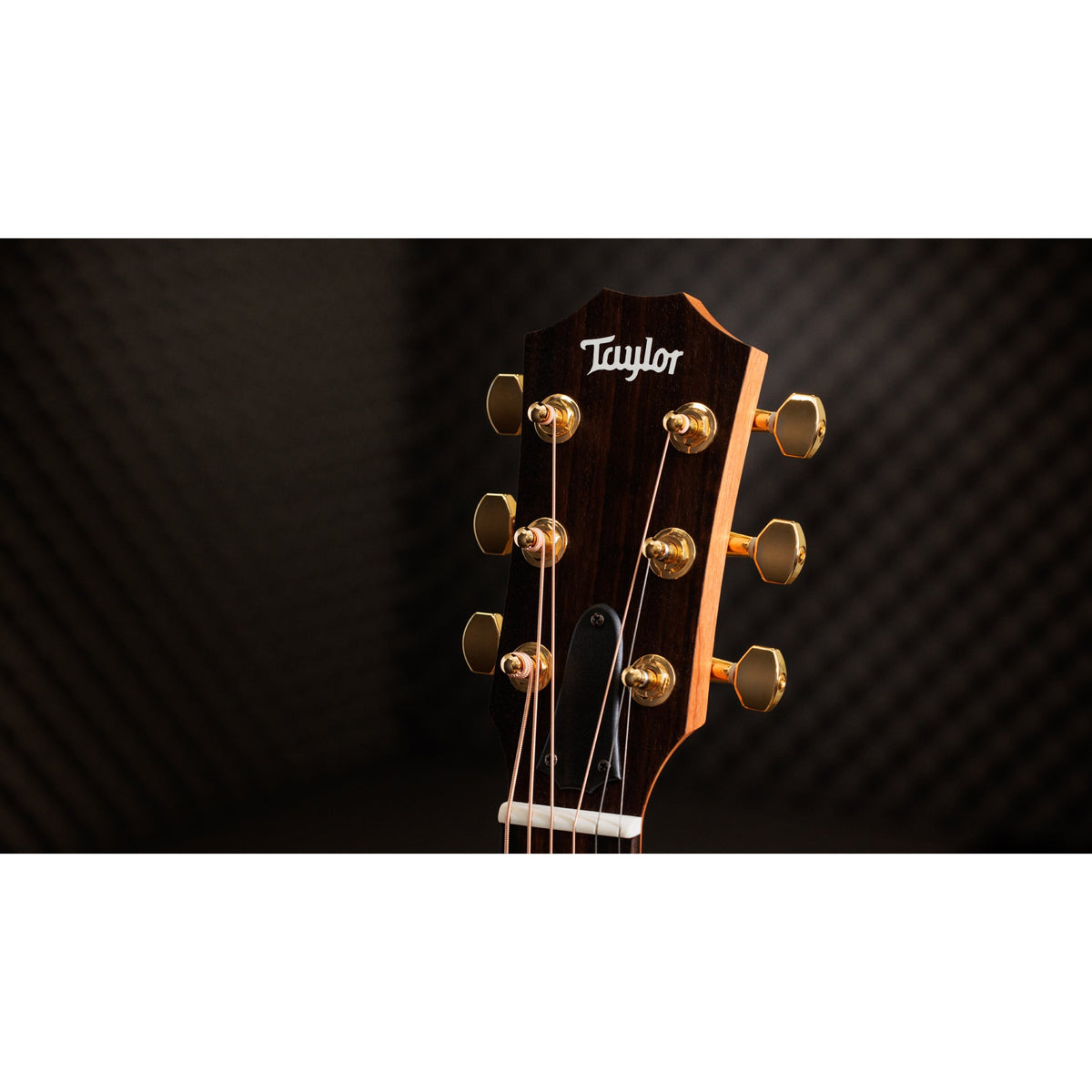Taylor GS Mini-e Rosewood LTD 50th Anniversary Acoustic Electric Guitar, Natural - View 3 | MusicMarket