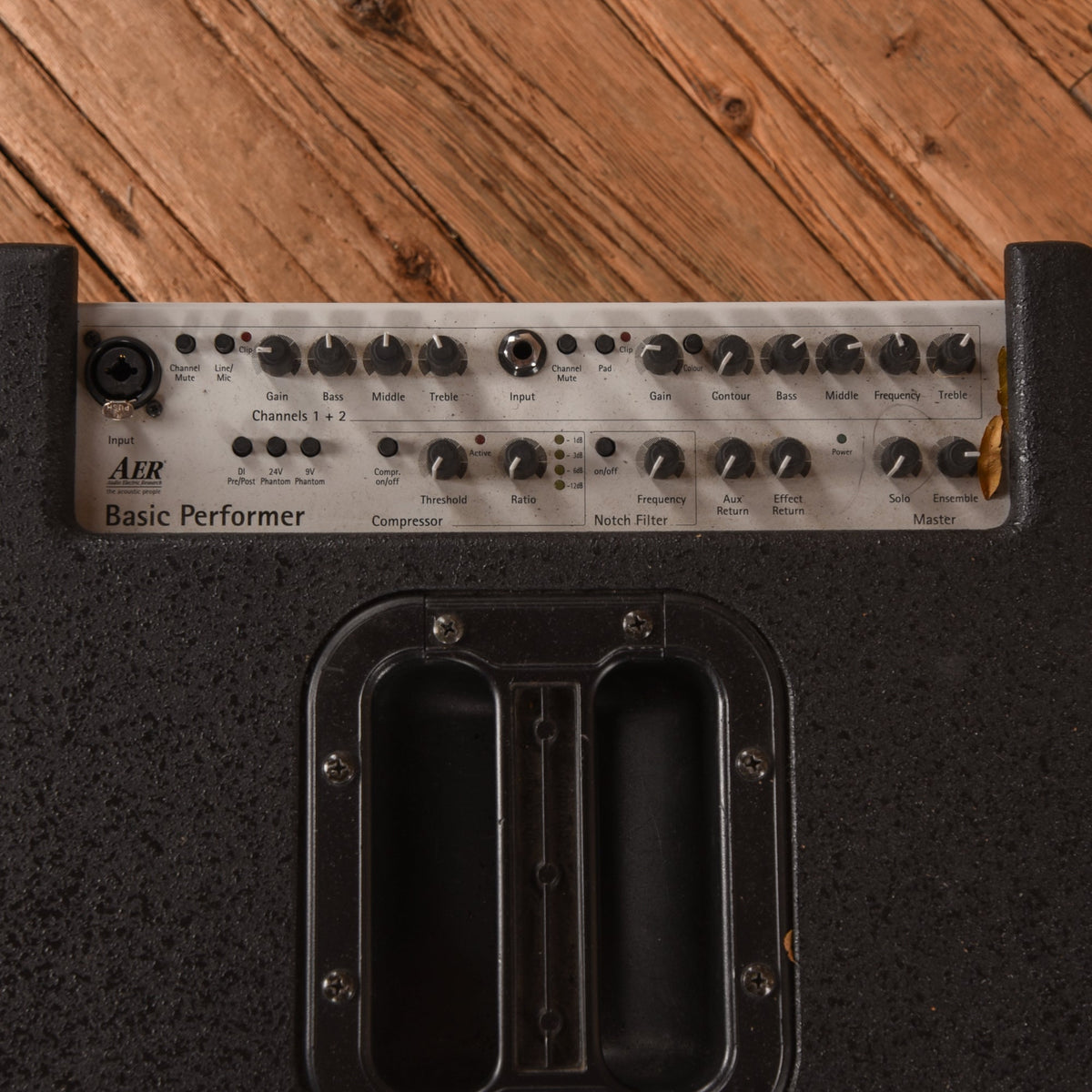 AER Basic Performer Bass Combo - View 3 | MusicMarket
