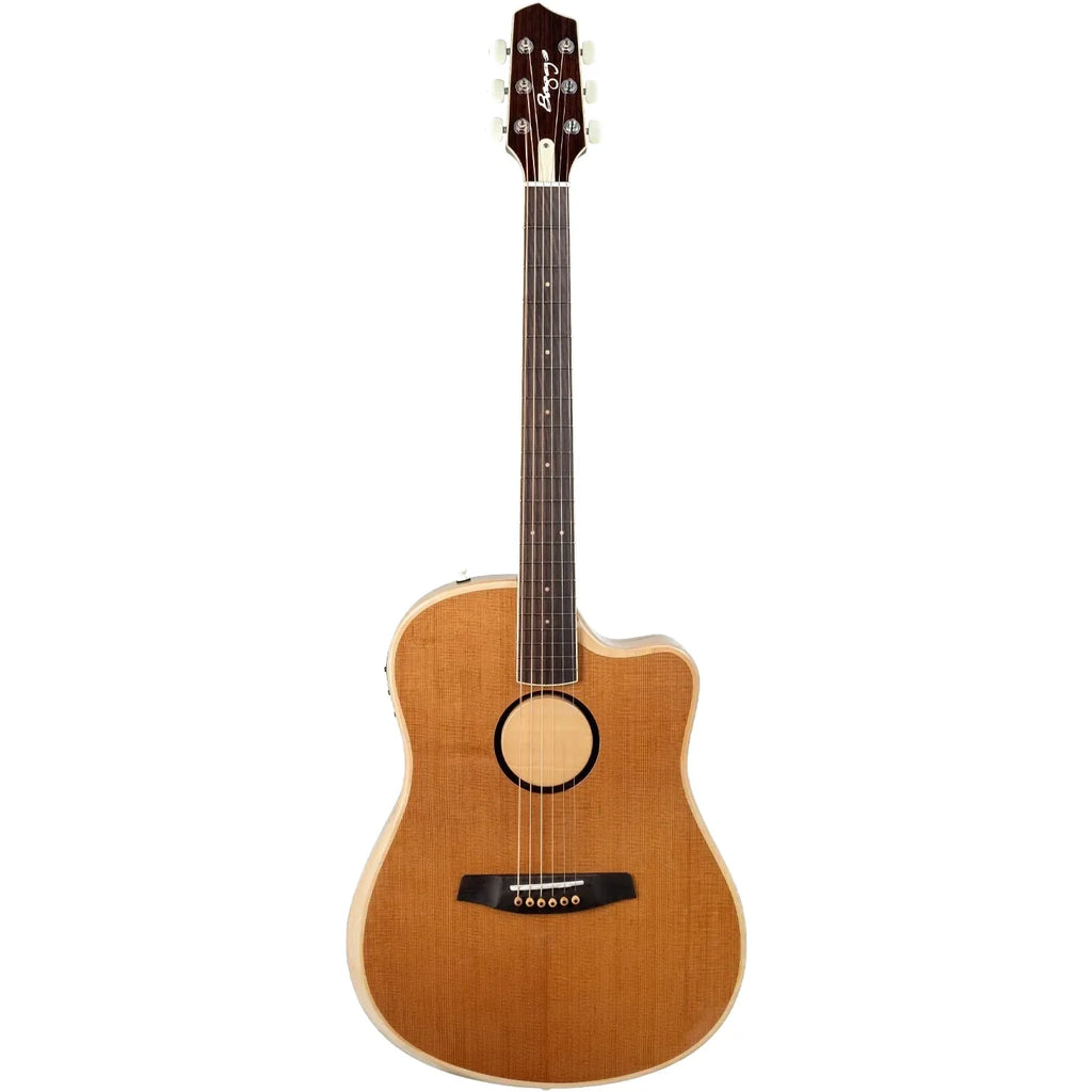 LR Baggs AEG-1 Acoustic Electric 6 String Guitar - Torrefied Sitka Spruce - View 2 | MusicMarket