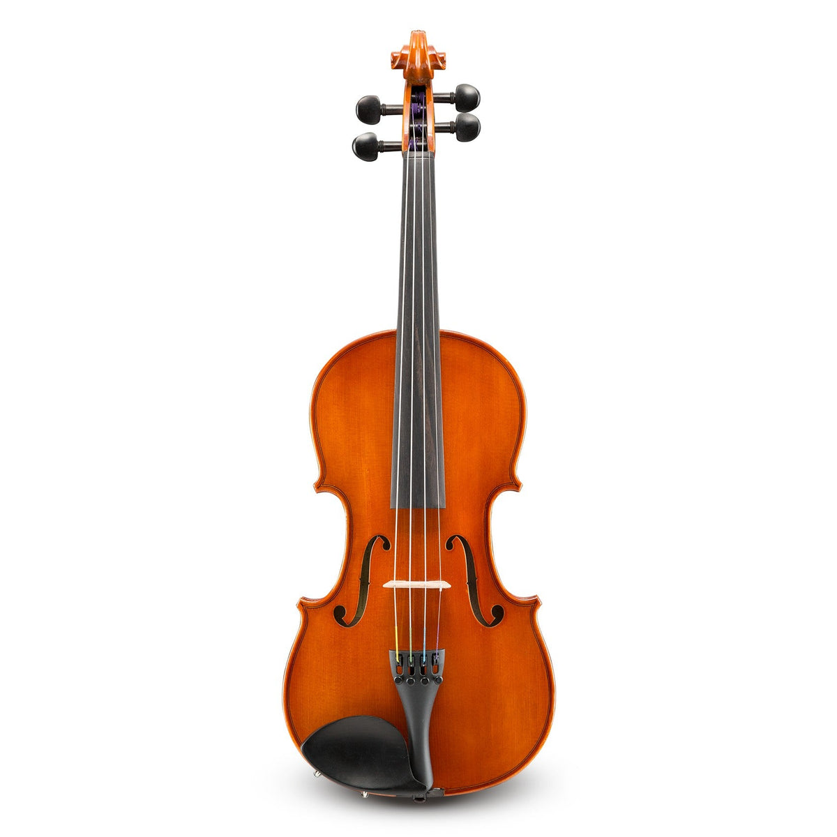 Eastman Strings Model 80 Student Violin Outfit - 3/4 Size - MusicMarket