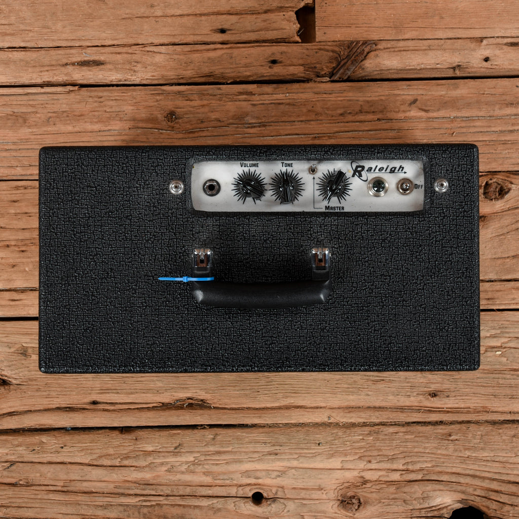 Carr Raleigh 3-Watt 1x10" Guitar Combo - View 3 | MusicMarket