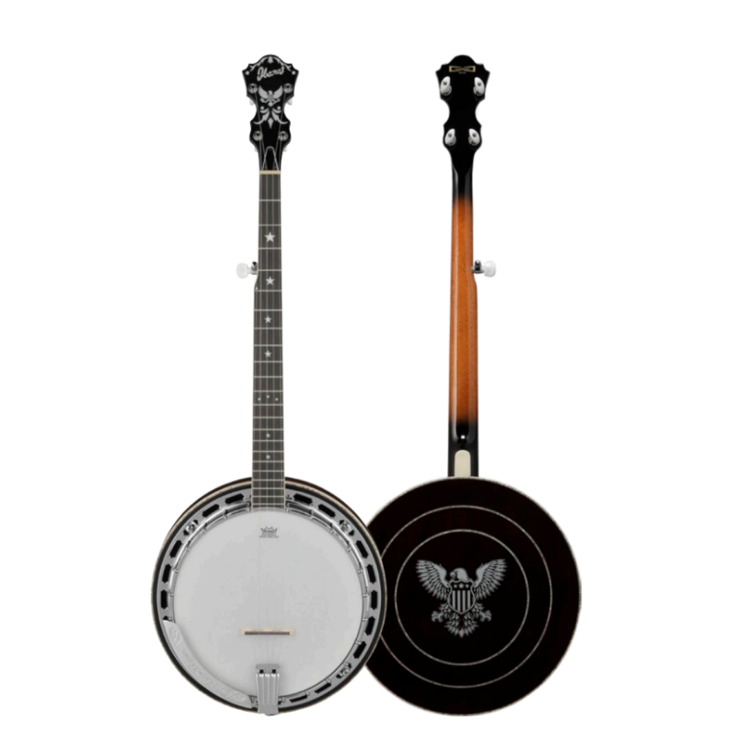 Ibanez Limited Edition BA250 Banjo - MusicMarket