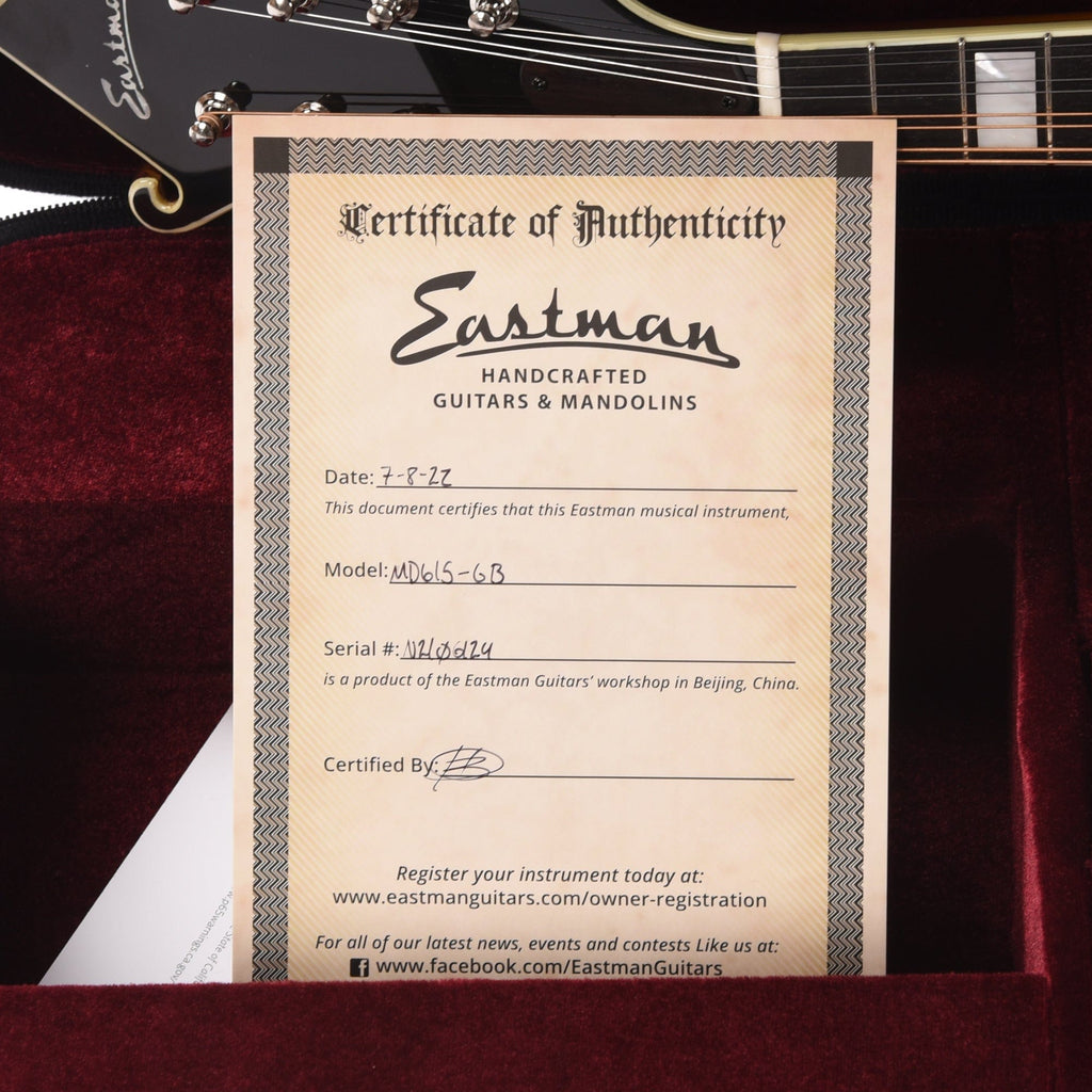 Eastman MD615 Sitka/Maple F-Style Mandolin Goldburst w/Pickup - View 10 | MusicMarket
