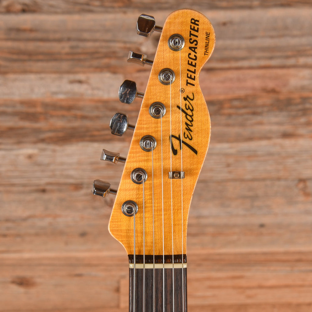 Fender Custom Shop Limited Edition 1972 Telecaster Thinline Rosewood Relic w/Trem Blue Flower 2019 - View 6 |