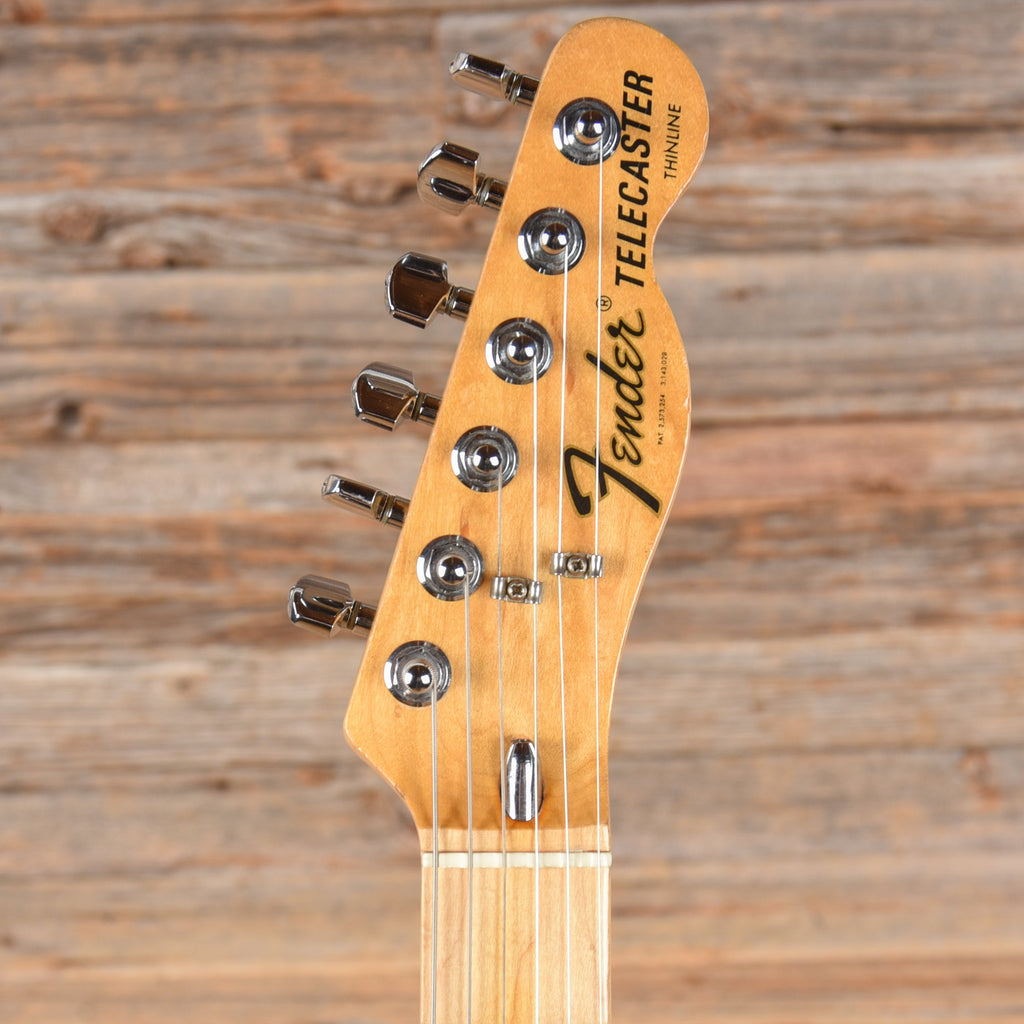 Fender Telecaster Thinline Natural 1972 - View 6 | MusicMarket