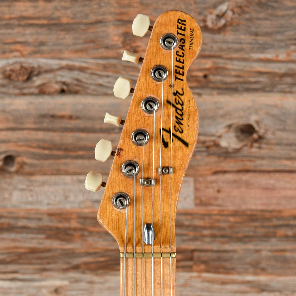 Fender Telecaster Thinline Natural 1974 - View 6 | MusicMarket