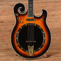 Gold Tone EBM-5 Electric Banjo Sunburst 2023 - MusicMarket