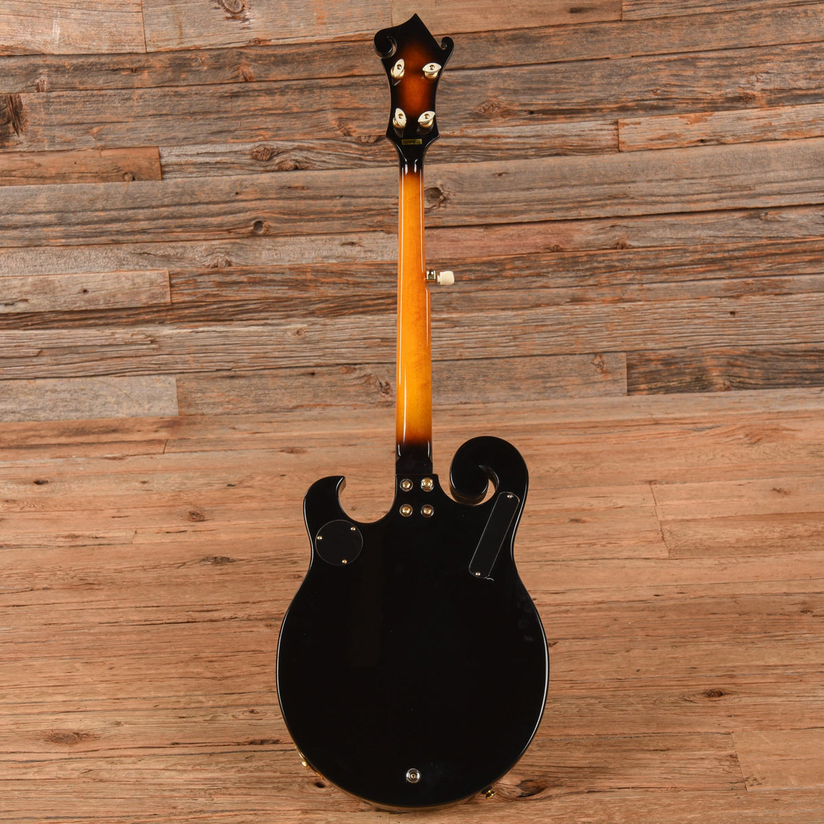 Gold Tone EBM-5 Electric Banjo Sunburst 2023 - View 5 | MusicMarket