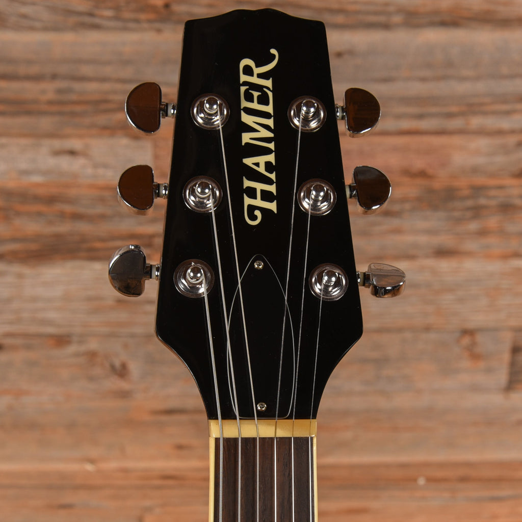 Hamer Echotone Natural - View 6 | MusicMarket