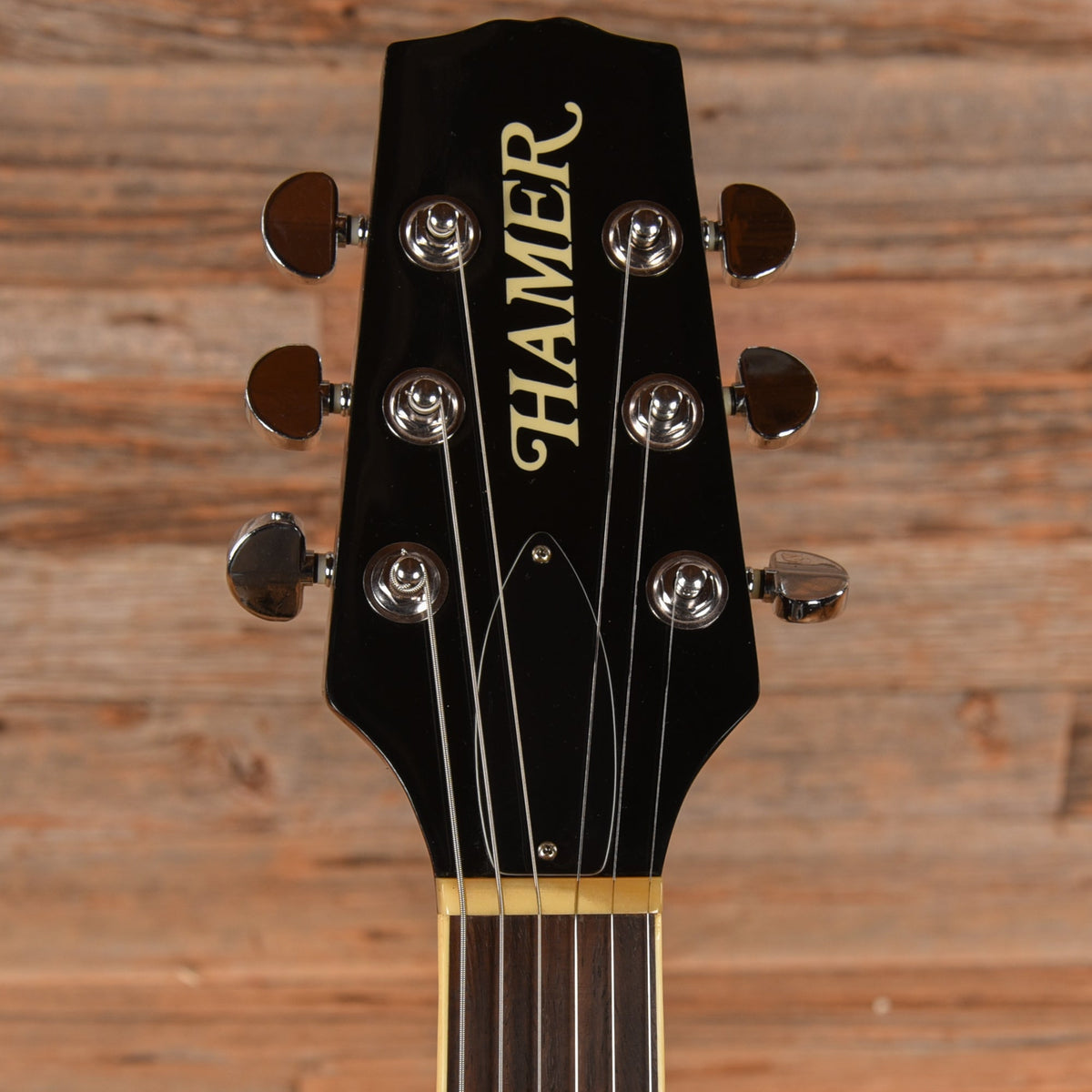 Hamer Echotone Natural - View 6 | MusicMarket