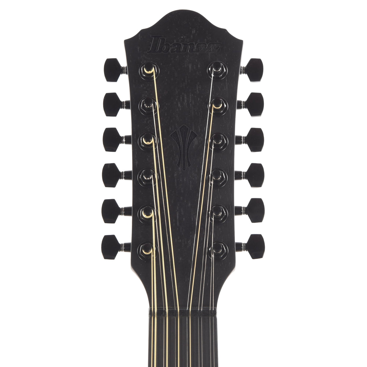 Ibanez AEG1221BOT AEG 12-String Acoustic-Electric Guitar Black Out - View 6 | MusicMarket