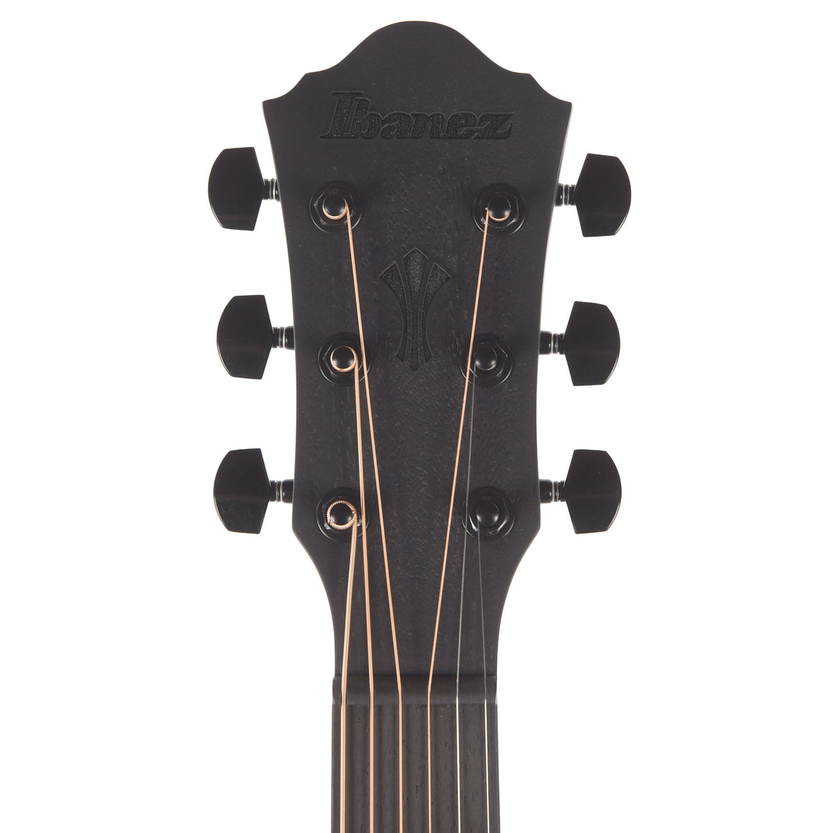 Ibanez AEG621BOT AEG Acoustic-Electric Guitar Black Out - View 6 | MusicMarket