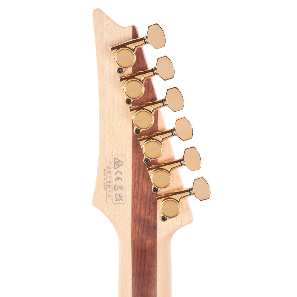 Ibanez JS1GD Joe Satriani Signature Electric Guitar - View 7 | MusicMarket