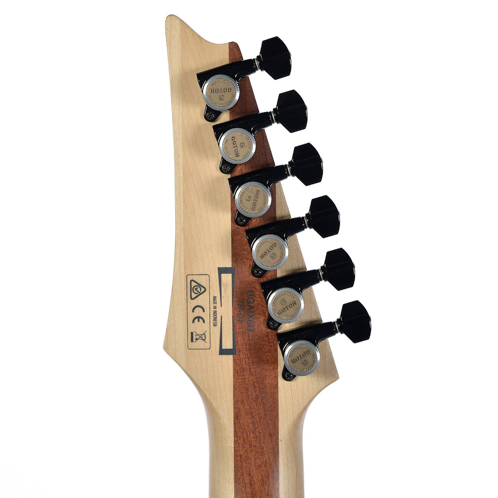 Ibanez RGAIX6U Iron Label Antique Brown Stained w/Ibanez Molded Hardshell Case - View 8 | MusicMarket