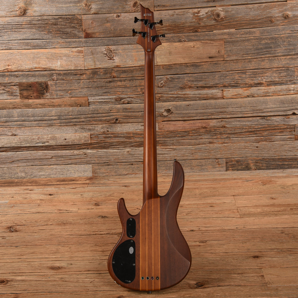 LTD D-4 Brown - View 5 | MusicMarket