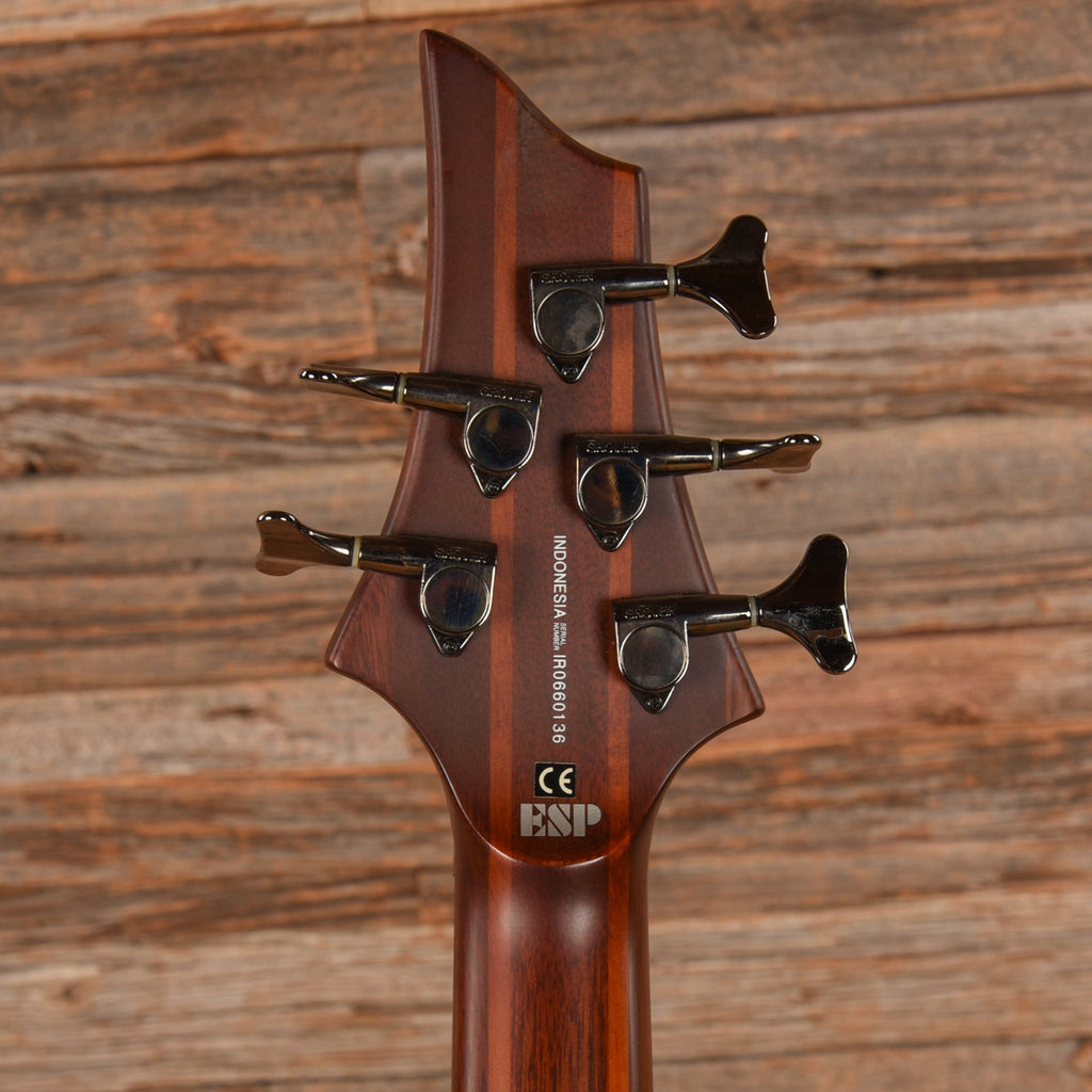 LTD D-5 Brown - View 7 | MusicMarket