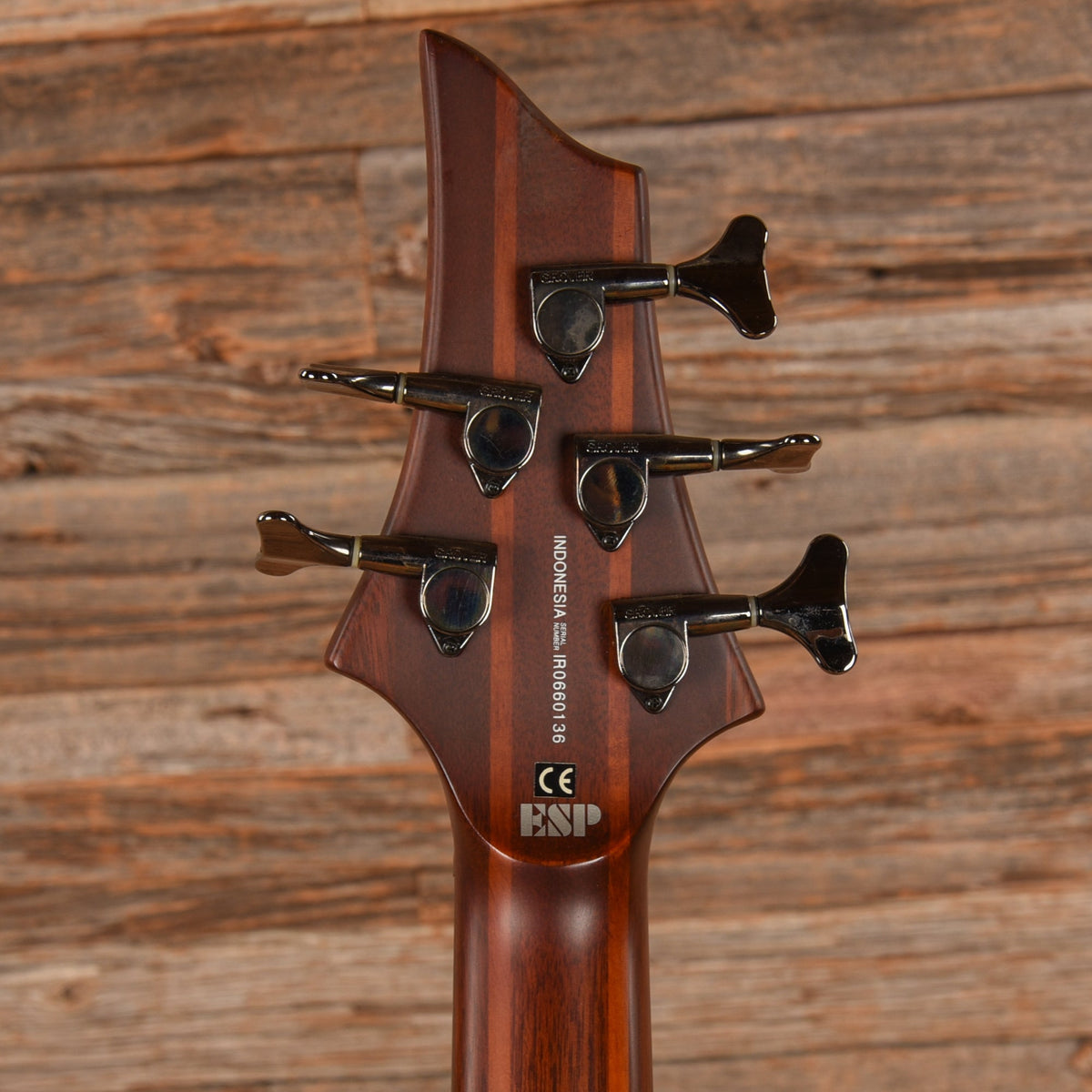 LTD D-5 Brown - View 7 | MusicMarket