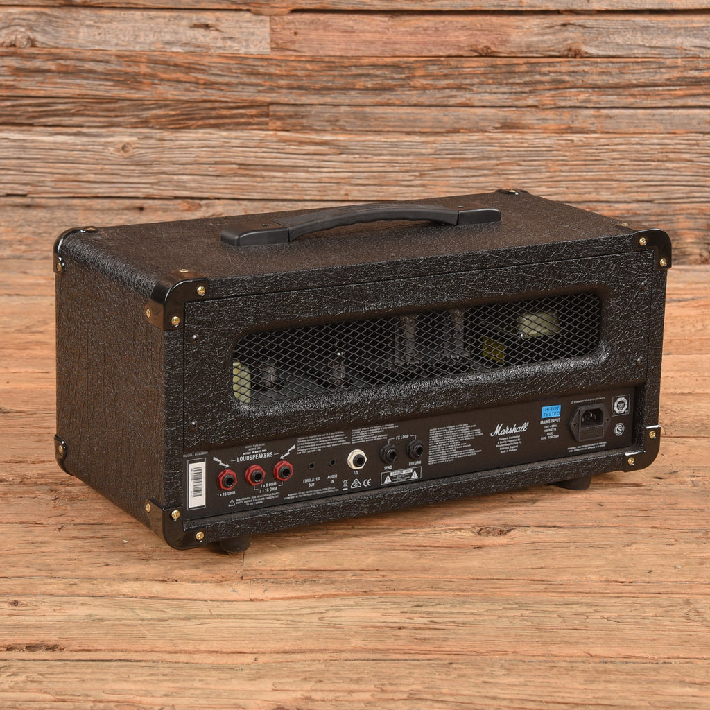 Marshall DSL 20 Head - Dave Amato of REO Speedwagon - View 2 | MusicMarket