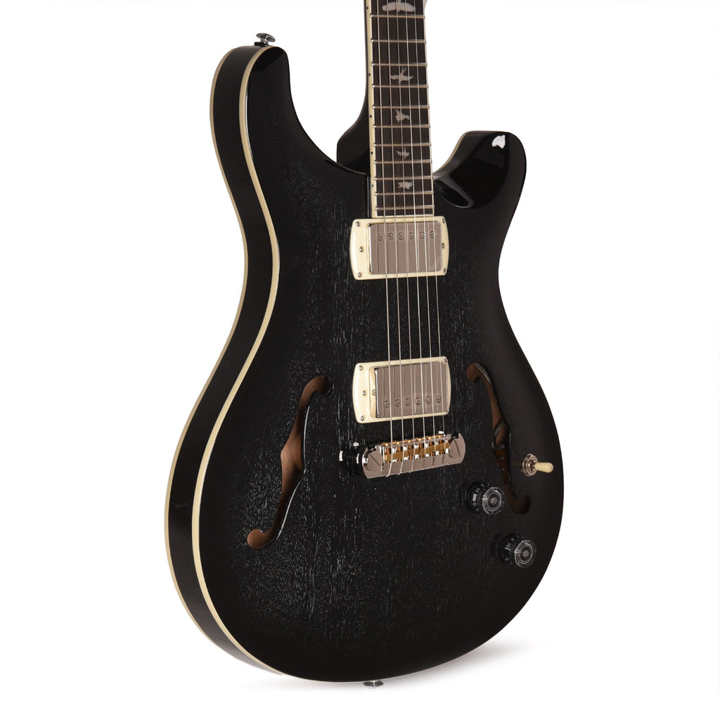 PRS SE Hollowbody Standard Dog Hair Smokeburst - MusicMarket