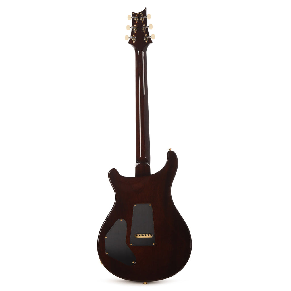 PRS DGT Semi-Hollow 10 Top McCarty Tobacco Sunburst w/Birds - View 5 | MusicMarket