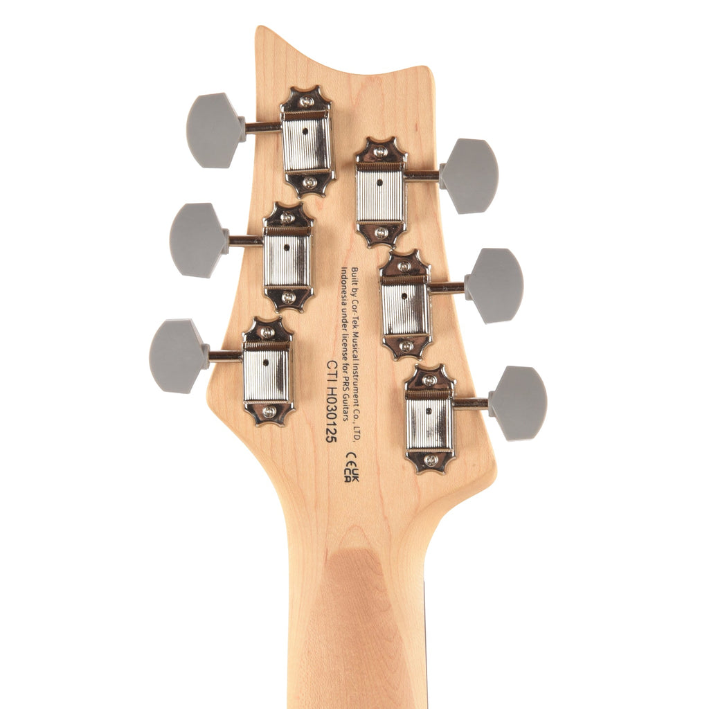 PRS SE Silver Sky Rosewood Dandy Lion - View 7 | MusicMarket
