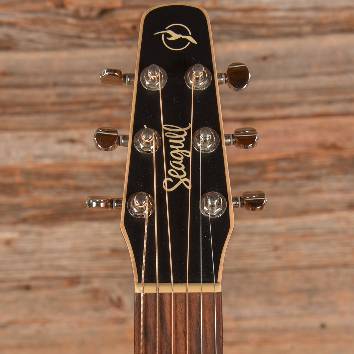 Seagull Coastline Folk Cedar Natural - View 6 | MusicMarket
