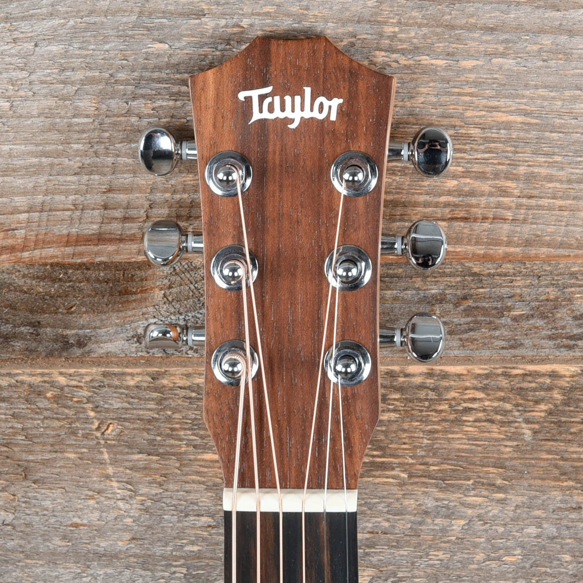 Taylor BT1e Walnut Natural w/ES-B & Gig Bag - View 5 | MusicMarket