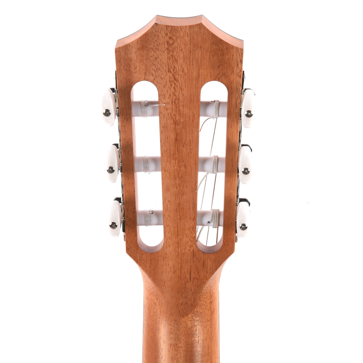 Taylor 214ce-N Grand Auditorium Torrified Spruce/Walnut Natural ES2 - View 7 | MusicMarket