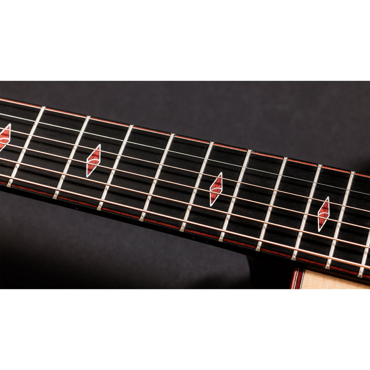 Taylor Custom "The Catch" NAMM 2024 #14 C14ce Grand Auditorium Bearclaw Sitka/AA Indian Rosewood Natural - View 13
