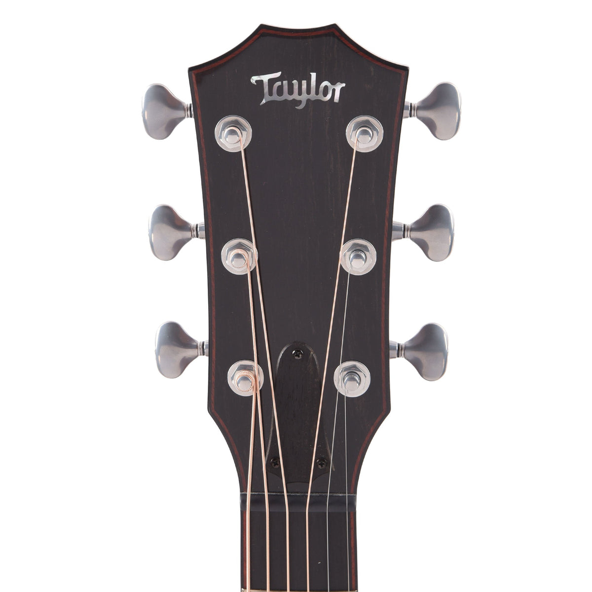 Taylor Custom "The Catch" NAMM 2024 #14 C14ce Grand Auditorium Bearclaw Sitka/AA Indian Rosewood Natural - View 6